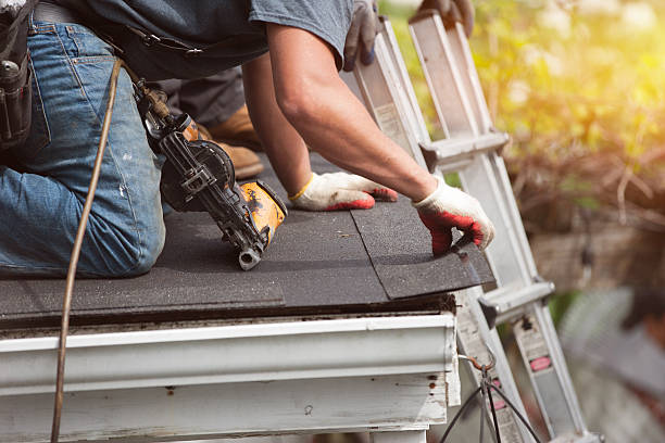 Best Roof Gutter Cleaning  in Greensboro, MD
